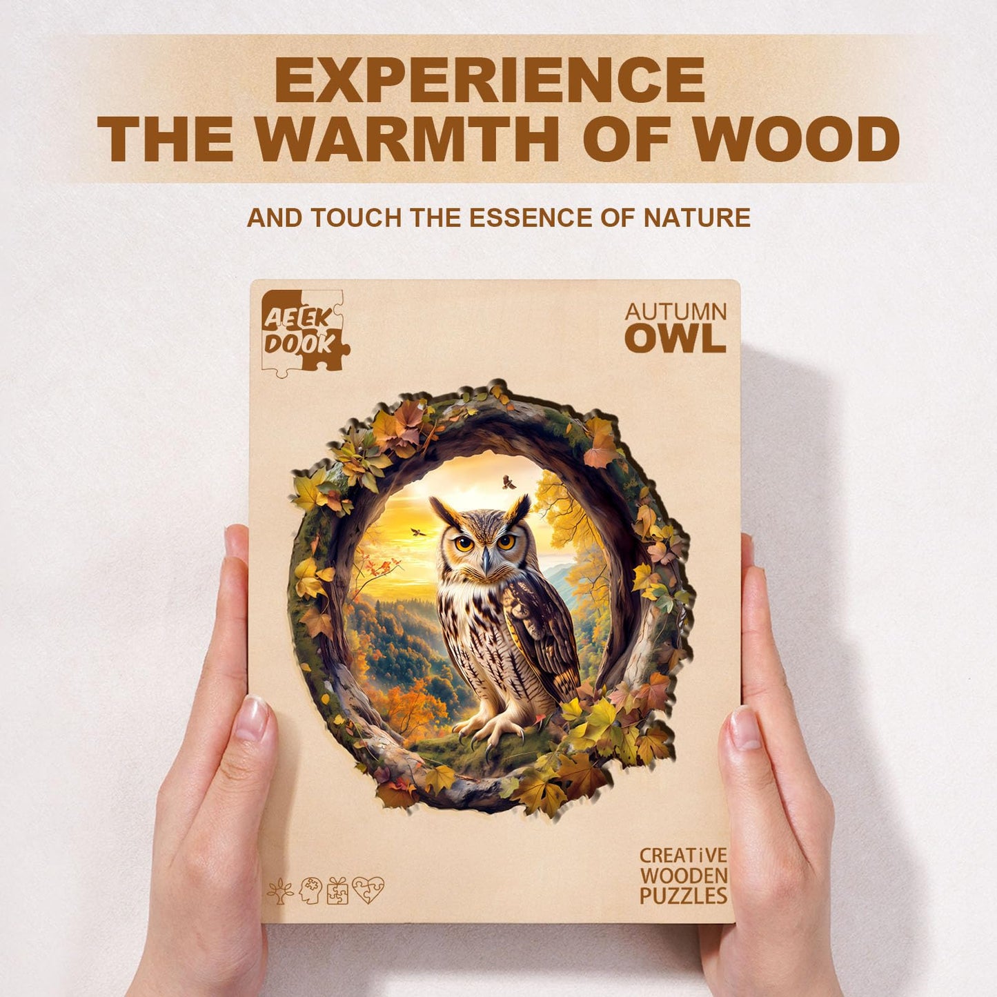 Autumn Owl
