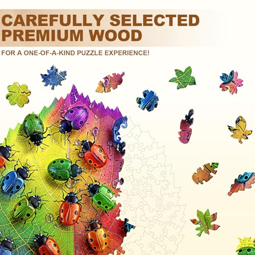 Colorful Ladybird Unique Shape Wood Puzzle Lucky Bug - Aeekdook