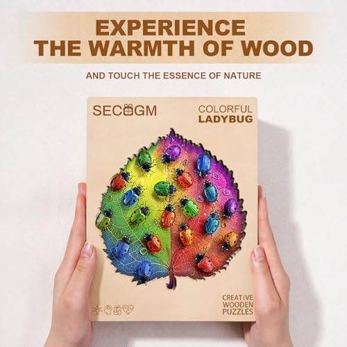 Colorful Ladybird Unique Shape Wood Puzzle Lucky Bug - Aeekdook