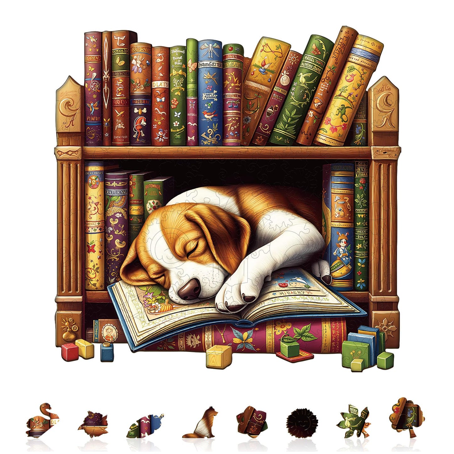 Bookshelf Beagle Dog