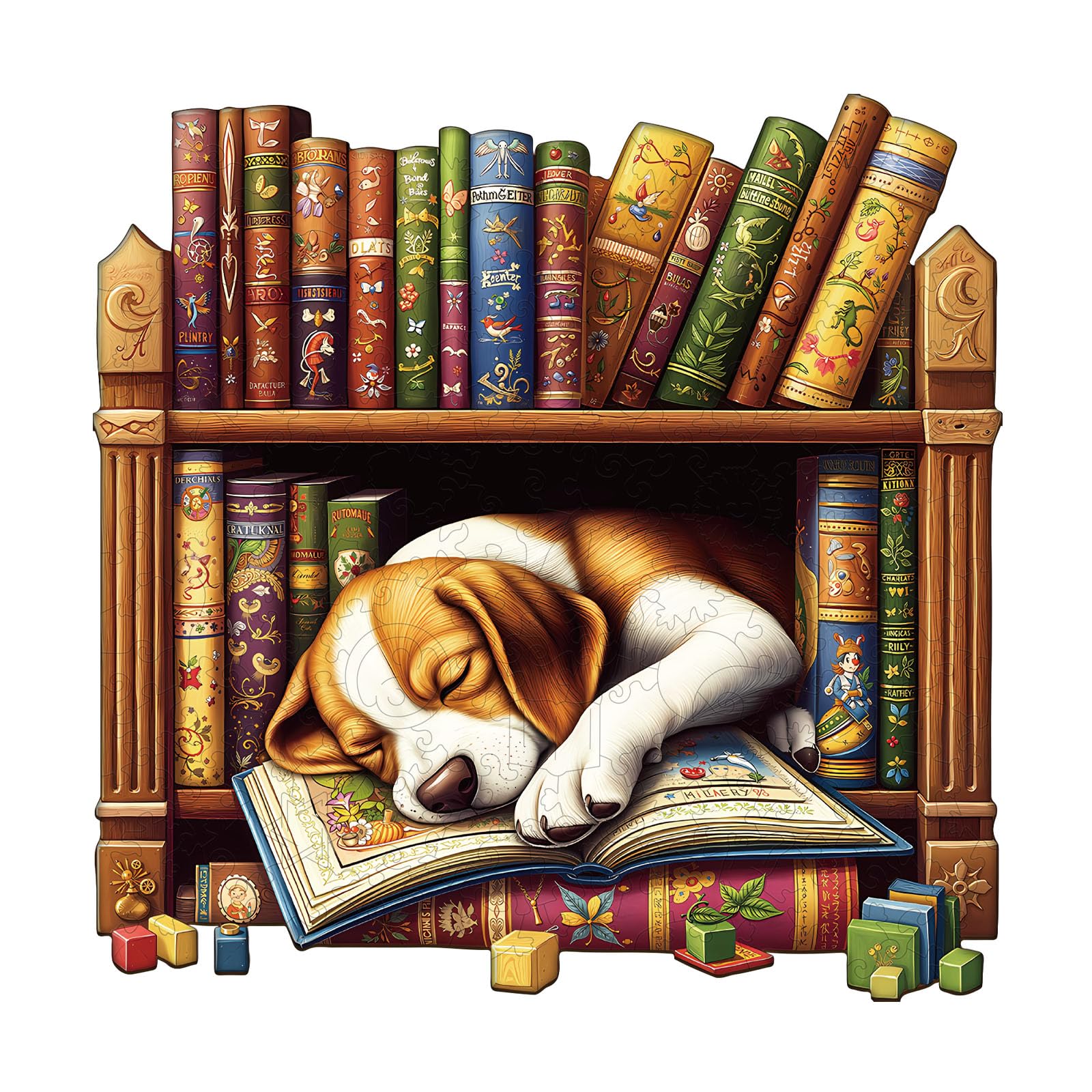Bookshelf Beagle Dog