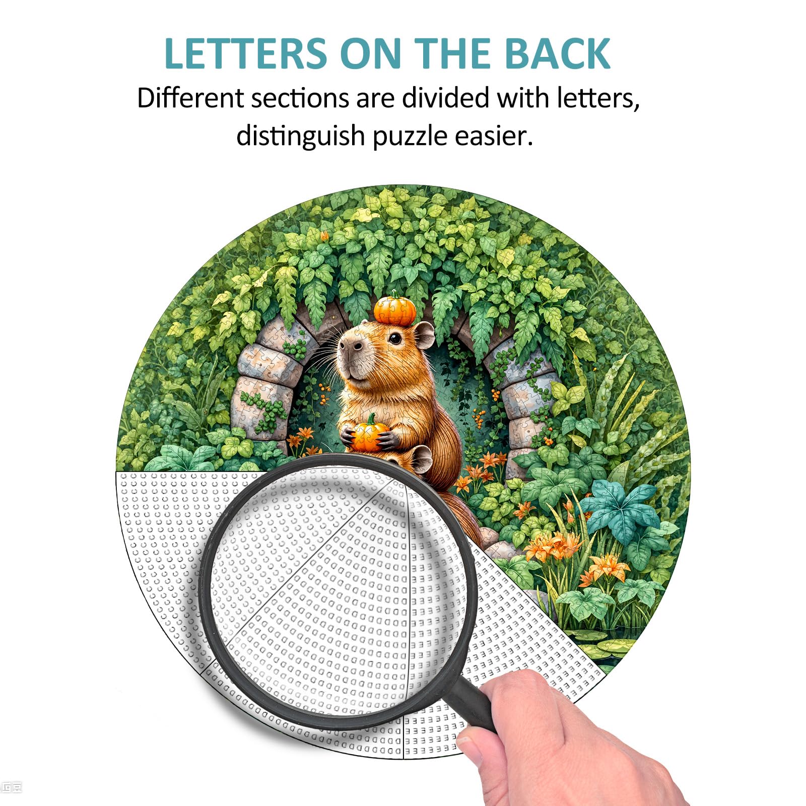 Capybara Puzzles for Adults 1000 Pieces