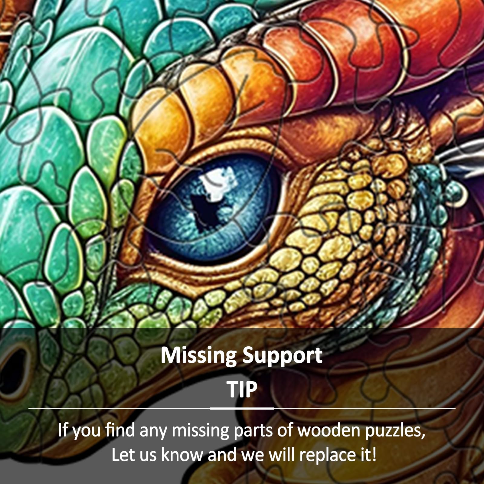 Reading Dragon Unique Shape Wood Puzzle Fantasy Gift - Aeekdook