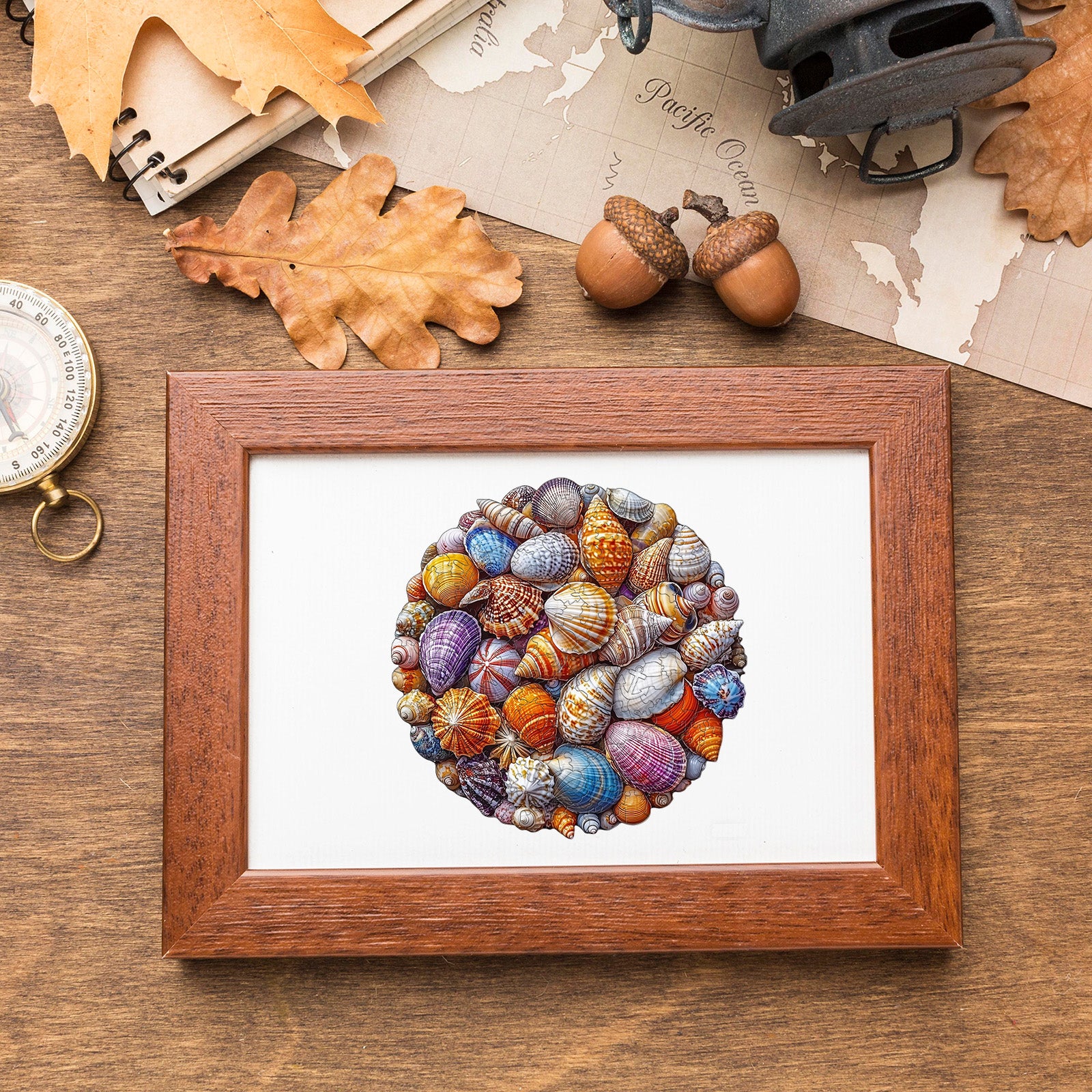 Colorful Shells Wood Puzzle Summer Beach Artwork - Aeekdook