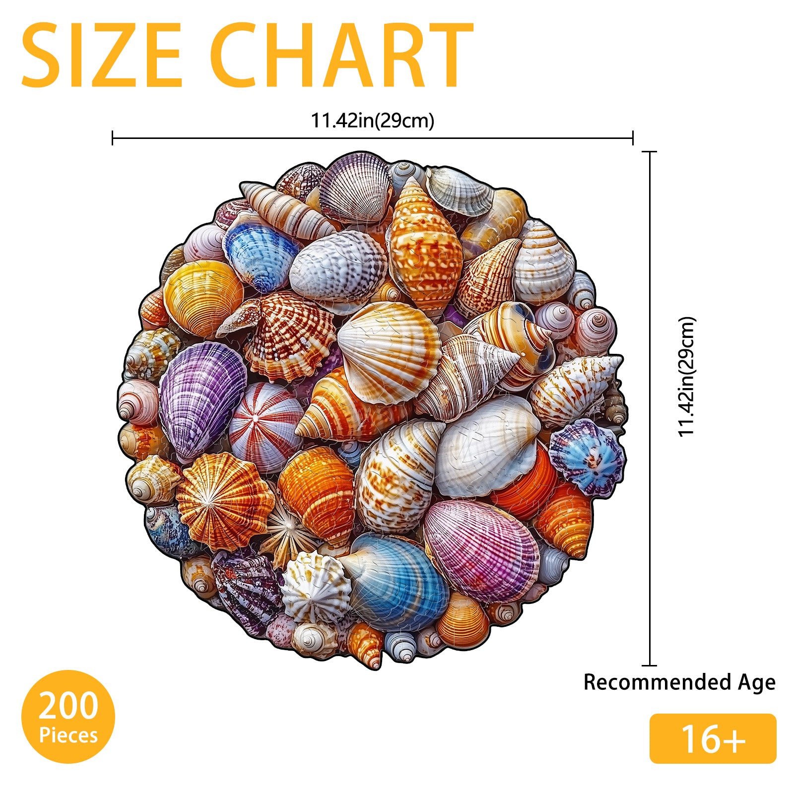 Colorful Shells Wood Puzzle Summer Beach Artwork - Aeekdook