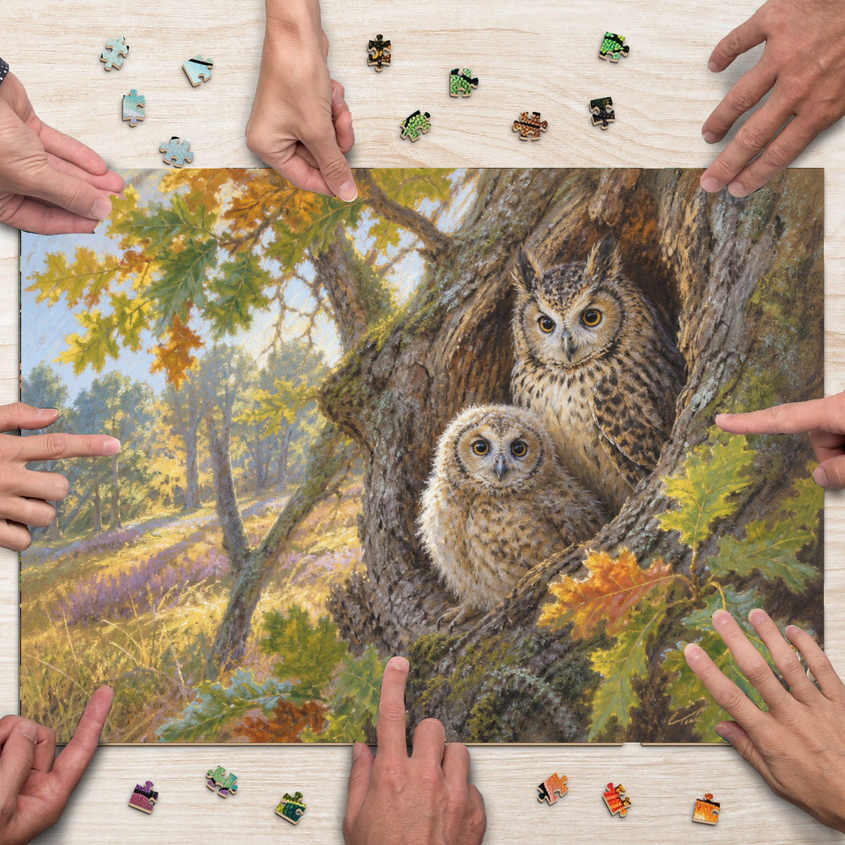 Sunlit Owls Landscape Puzzle - puzzle product view