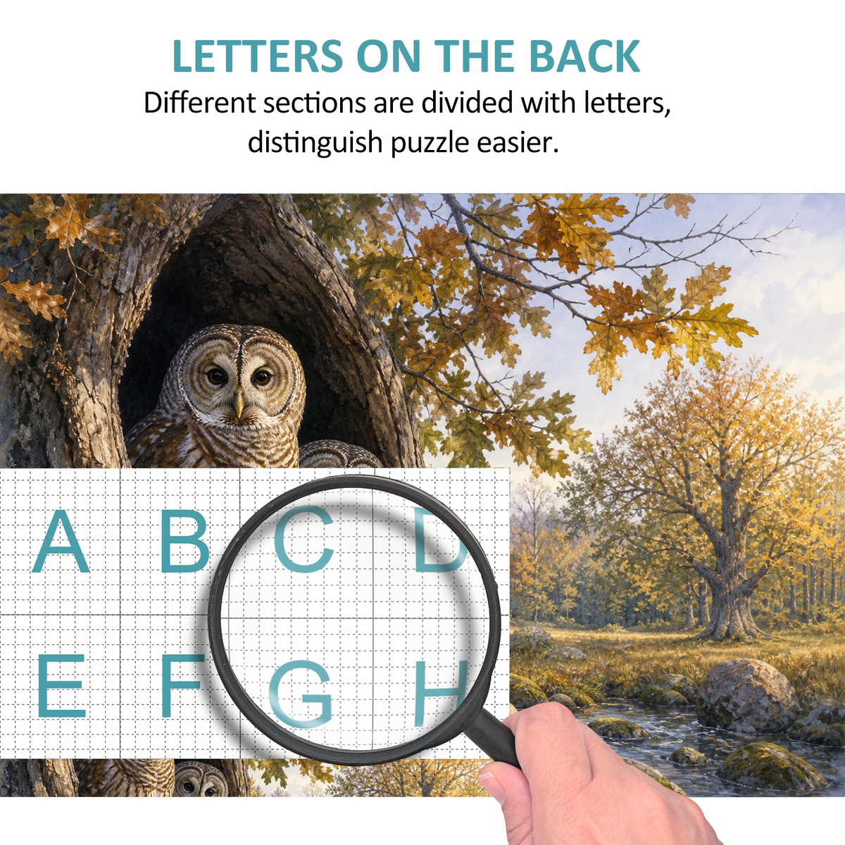 Luminous Owls Landscape Puzzle - puzzle product view