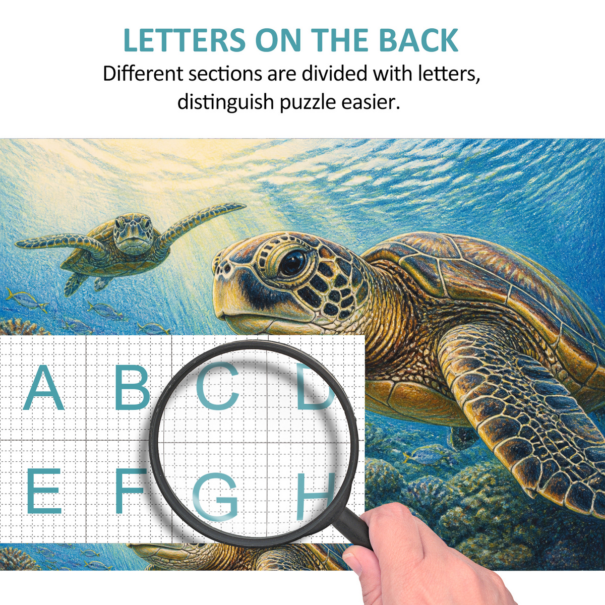 Luminous Sea Turtles Landscape Puzzle - puzzle product view