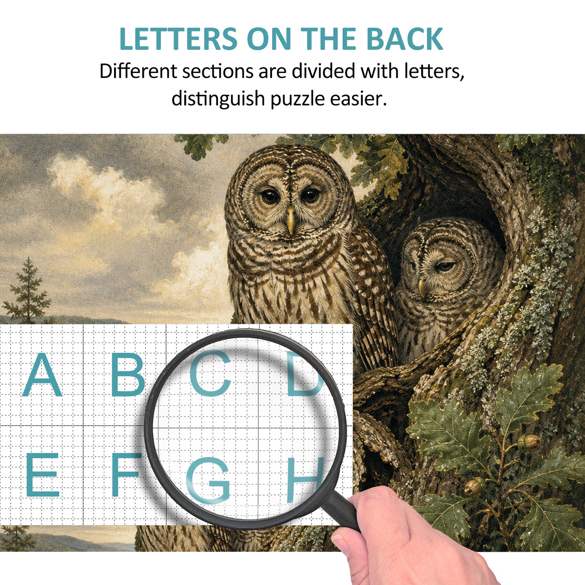 Rain-Washed Owls Portrait Puzzle - puzzle product view