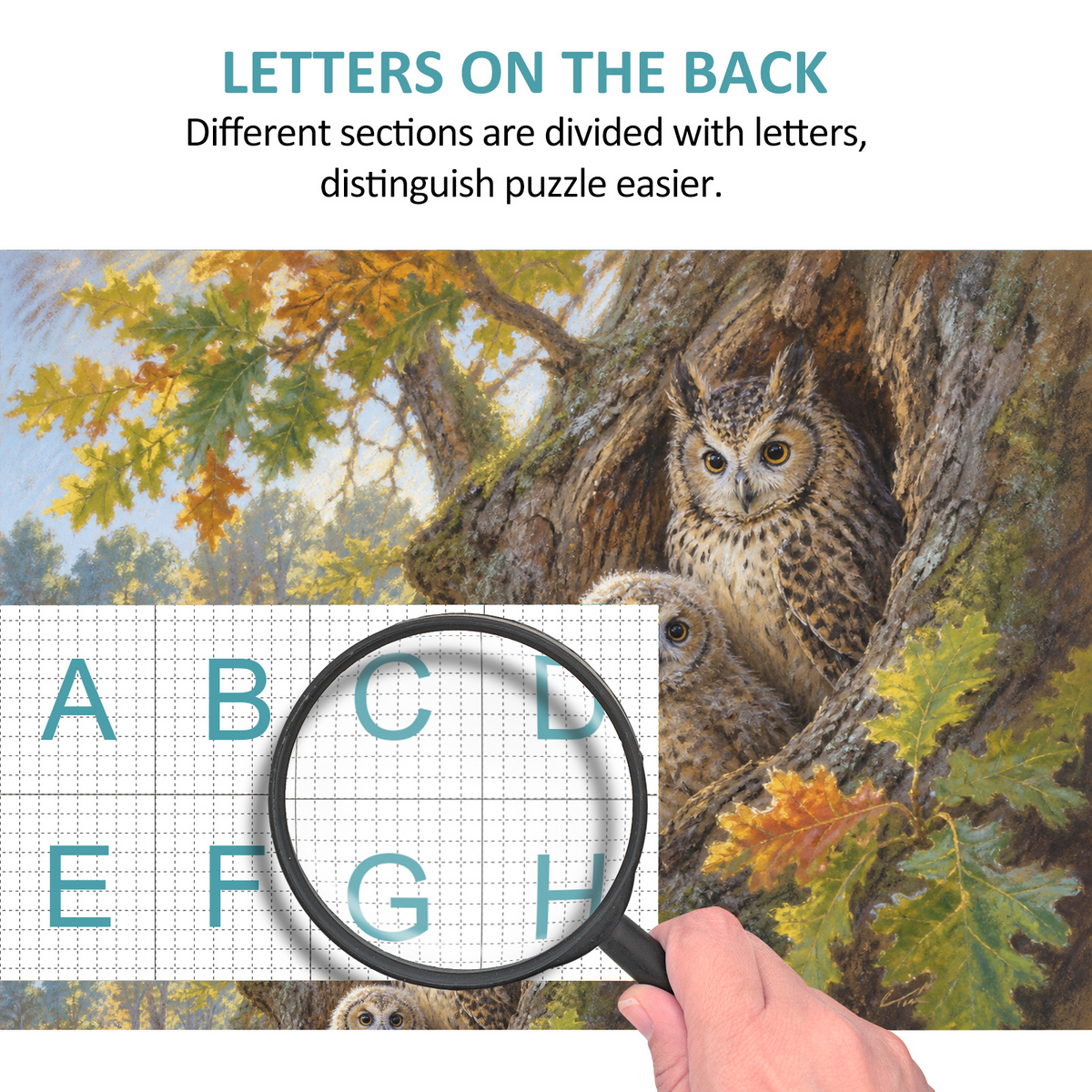 Sunlit Owls Landscape Puzzle - puzzle product view