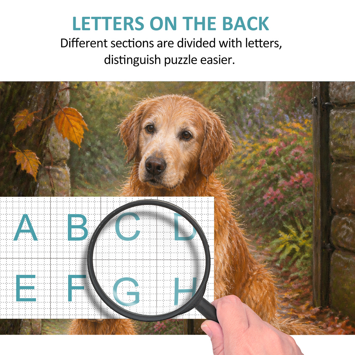Rain-Washed Golden Retriever Portrait Puzzle - puzzle product view