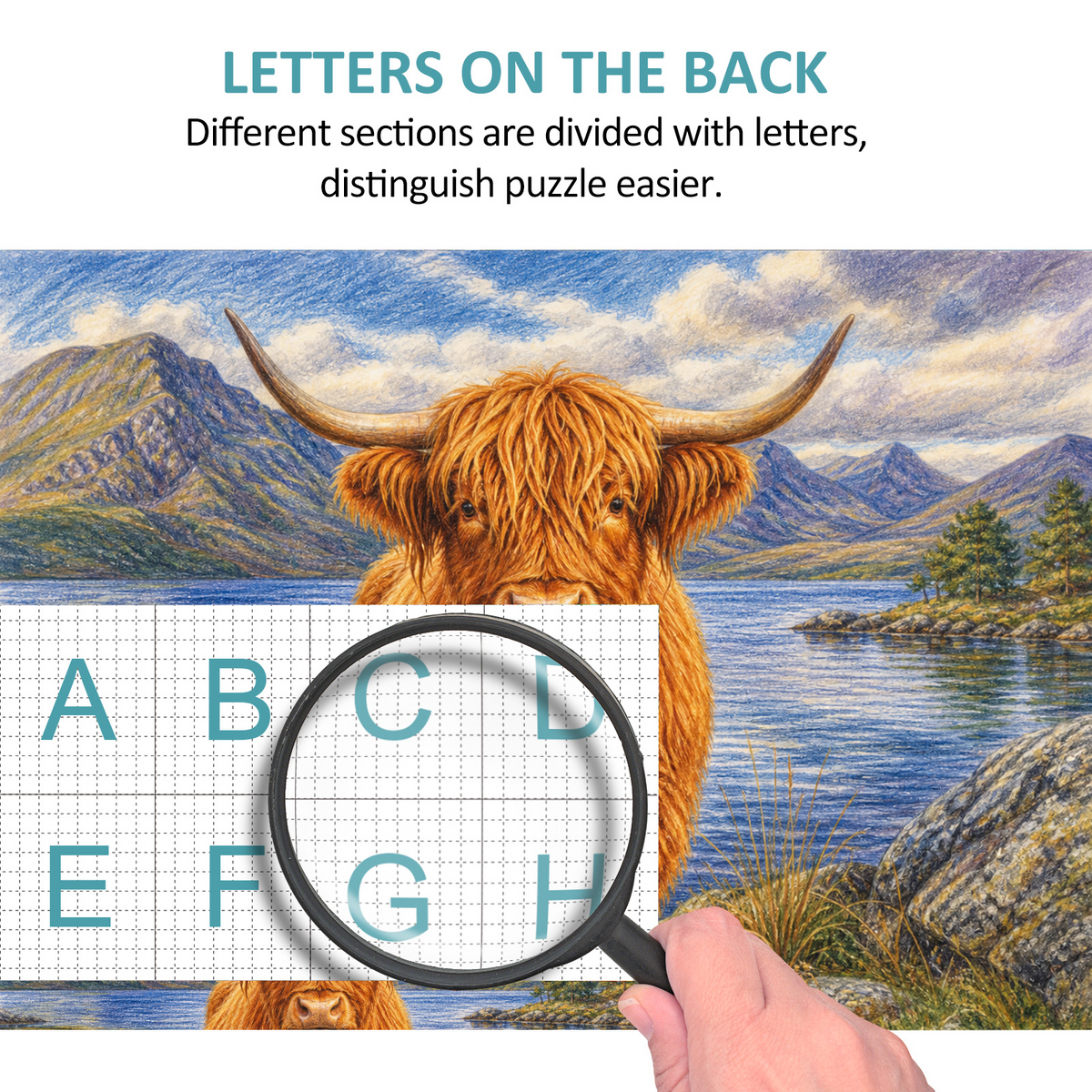 Vibrant Highland Cattle Landscape Puzzle - puzzle product view